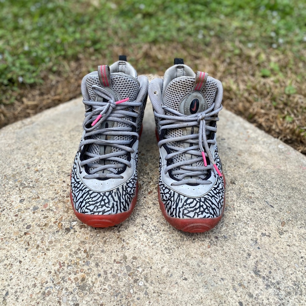 Air Foamposite Pro Elephant Print